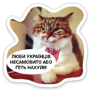 😤 emoji УКРАЇНОФІЛІЯ АБО СМЕРТЬ! Telegram sticker 1 of 120