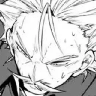 Sticker from chapter 95 bsd