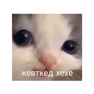 Sticker from цветы в вазе говно в унитазе