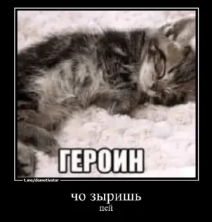 😂 emoji Больше стиков тут: @stikery4 Telegram sticker 10 of 43