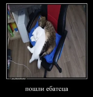 😂 emoji Больше стиков тут: @stikery4 Telegram sticker 9 of 43