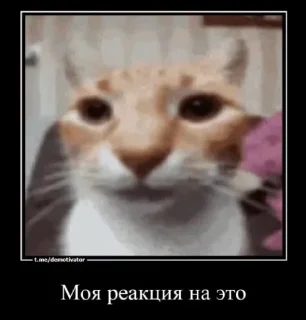 😂 emoji Больше стиков тут: @stikery4 Telegram sticker 3 of 43