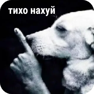 🐶 emoji Пидрила ➡️ @Ctikerubot Telegram sticker 16 of 67