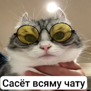 🙈 emoji Группа нбн энэн @sozdat_stikery_bot Telegram sticker 18 of 45