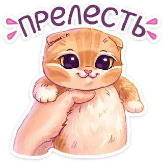 ☺️ emoji @sticksbb 🩷 <- канал со стиками Telegram sticker 24 of 48