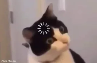 🤯 emoji Sadcat Telegram sticker 3 of 16