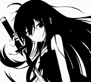 Sticker from Akame