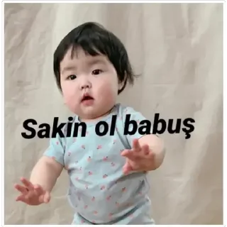 🌟 emoji @Bildiyindeli @DTOUserBot Paketi 1 Telegram sticker 6 of 75