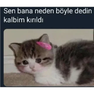 🌟 emoji @Bildiyindeli @DTOUserBot Paketi 1 Telegram sticker 17 of 75