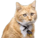😒 emoji Уебай! Telegram sticker 23 of 118