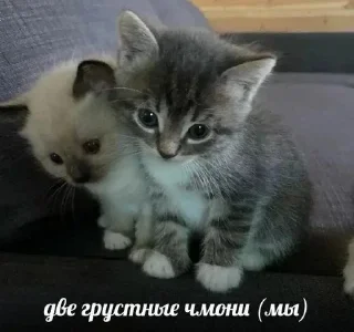 ☹️ emoji Больше стиков тут: @stikery4 Telegram sticker 6 of 40