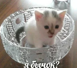😳 emoji Больше стиков тут: @stikery4 Telegram sticker 10 of 40