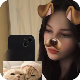 🫥 emoji Создано в @sozdsti_bot Telegram sticker 15 of 66