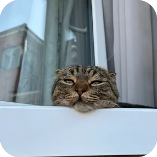 🫥 emoji Создано в @sozdsti_bot Telegram sticker 14 of 66