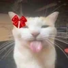 😔 emoji Орда маленких Волєлок. ➡️ @Ctikerubot Telegram sticker 2 of 28