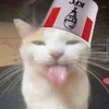 😜 emoji Орда маленких Волєлок. ➡️ @Ctikerubot Telegram sticker 3 of 28