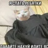 😁 emoji Орда маленких Волєлок. ➡️ @Ctikerubot Telegram sticker 7 of 28