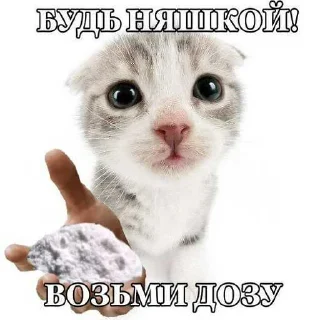 🥹 emoji Кицьки ➡️ @Ctikerubot Telegram sticker 6 of 62