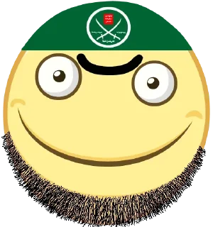 😀 emoji Больше стиков тут: @stikery4 Telegram sticker 5 of 31