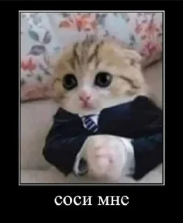 😭 emoji писька в вишне @riiizzeq Telegram sticker 18 of 36