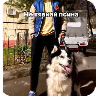 👍 emoji печенегры ➡️ @Ctikerubot Telegram sticker 4 of 9