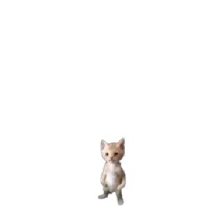 🐱 emoji @StickersFuck1 Telegram sticker 9 of 82