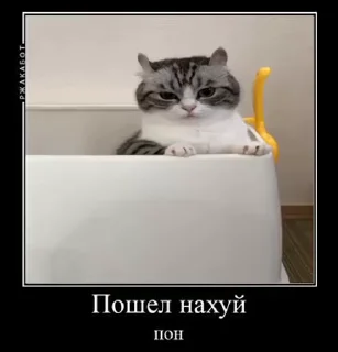 🙄 emoji Больше стикеров 👉🏻 @stickertg4 Telegram sticker 6 of 50