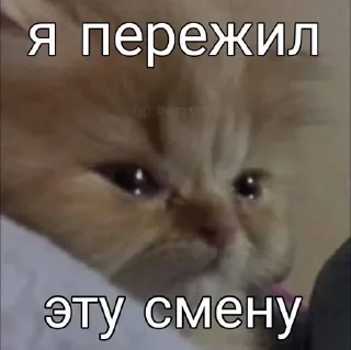 Sticker from МК любимый
