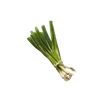 🫖 emoji ⪩⪩ 🧂 ₊₊ ф𝓊сmашк𝒶  。 @scorrall ഒഒ   ➡️ @Ctikerubot Telegram sticker 15 of 21