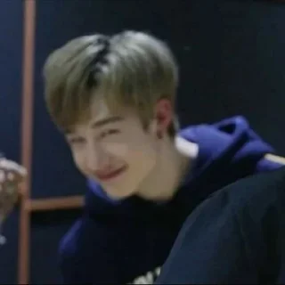 😏 emoji 💗stray kids💗 Telegram sticker 22 of 75