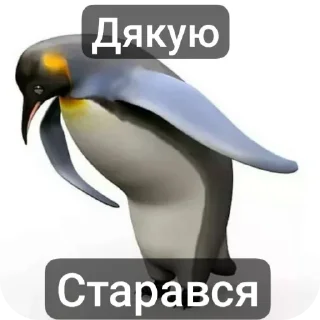 😀 emoji Жабячих висєри pack by @QuotLyBot Telegram sticker 22 of 24