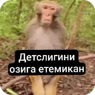 😐 emoji @nabiyev440 Telegram sticker 9 of 120