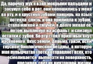 🪰 emoji халтура Telegram sticker 22 of 36