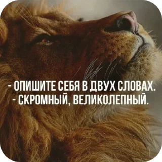 🐶 emoji Пока лев молчит, дворняга гавкает Telegram sticker 6 of 7