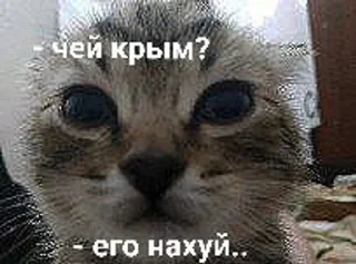 🌟 emoji белый негр pack by @QuotLyBot Telegram sticker 5 of 120