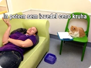 🌟 emoji Slovenija je prestolnica sveta Telegram sticker 23 of 43