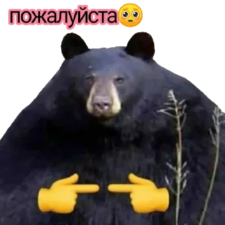 👉 emoji а мне ✨похуй✨ Telegram sticker 15 of 23