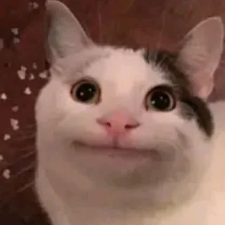 😲 emoji а мне ✨похуй✨ Telegram sticker 8 of 23