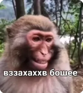 😂 emoji Алиса лучшая Telegram sticker 13 of 38