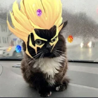 🐱 emoji Defense Of The Cat Telegram sticker 21 of 33