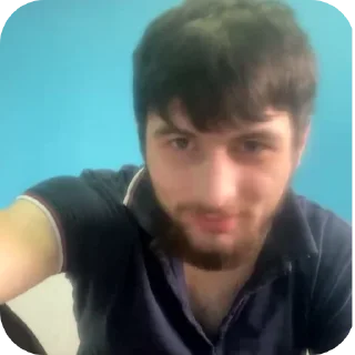 🤳 emoji шедевро самоеб Telegram sticker 16 of 29