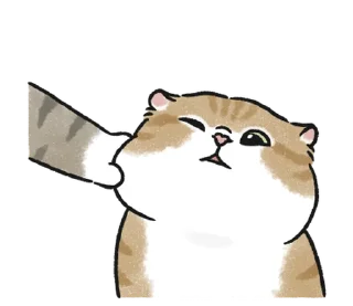 📩 emoji котяш | @softsticks Telegram sticker 21 of 32