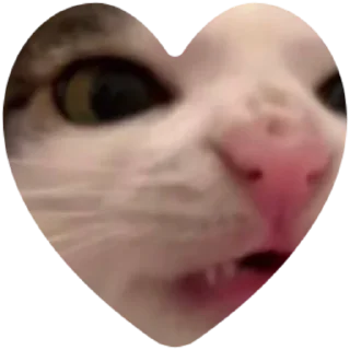❤ emoji @supercell_worldp Telegram sticker 4 of 21