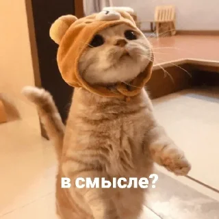 🤨 emoji Больше стиков тут: @stikery4 Telegram sticker 3 of 40