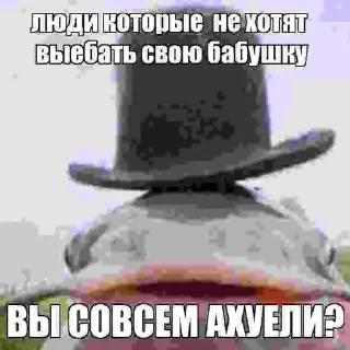 🥹 emoji Сборище отборного говна ➡️ @Ctikerubot Telegram sticker 7 of 99
