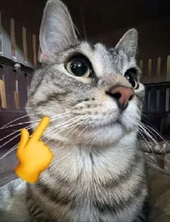 😎 emoji Хз2 ➡️ @Ctikerubot Telegram sticker 24 of 110