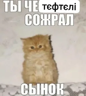 ☺️ emoji тєфтєлі ➡️ @Ctikerubot Telegram sticker 12 of 13