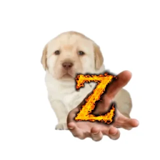 💤 emoji =Сэбэчка= Telegram sticker 16 of 35