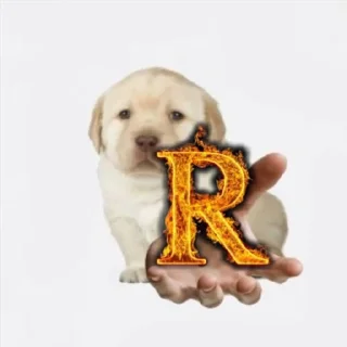 🐶 emoji =Сэбэчка= Telegram sticker 5 of 35