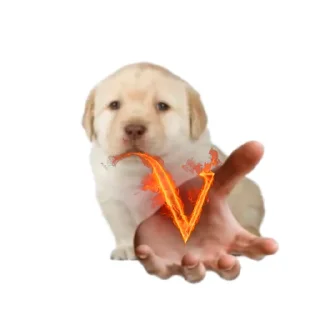 💤 emoji =Сэбэчка= Telegram sticker 17 of 35